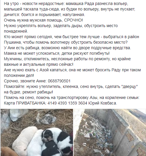 В Запорожской области заживо похоронили беременную собаку (ФОТО)