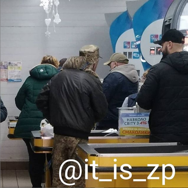 В запорожском супермаркете заметили необычного покупателя (ФОТОФАКТ)