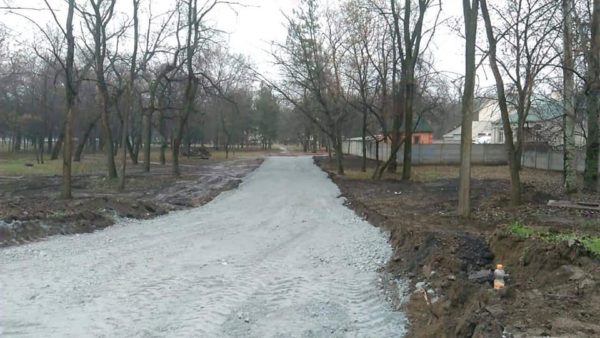 В запорожской "Дубовой роще" уничтожают деревья ради строительства дороги в парке (ФОТО)