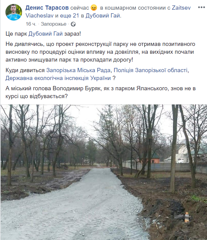 В запорожской "Дубовой роще" уничтожают деревья ради строительства дороги в парке (ФОТО)