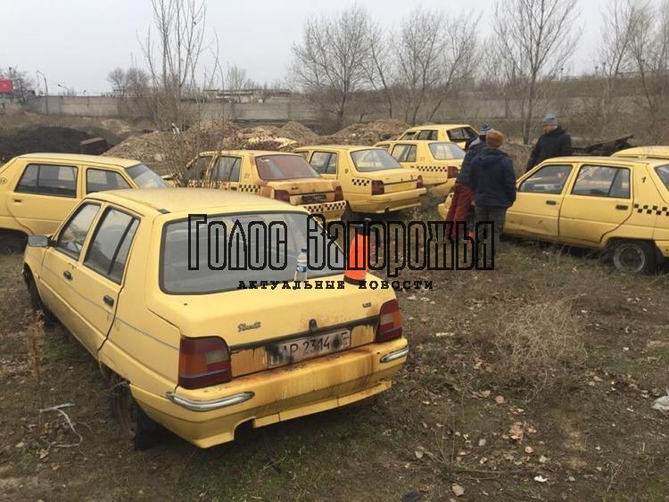 В Запорожской области нашли кладбище старых автомобилей "ЗАЗ" (ФОТО)