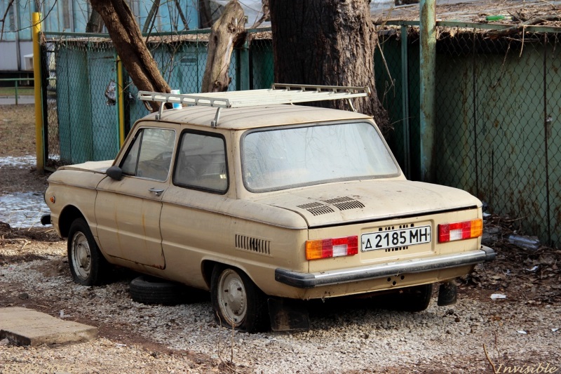 Забытый "ЗАЗ": за рубежом обнаружили кладбище автомобилей советского автопрома (ФОТО)