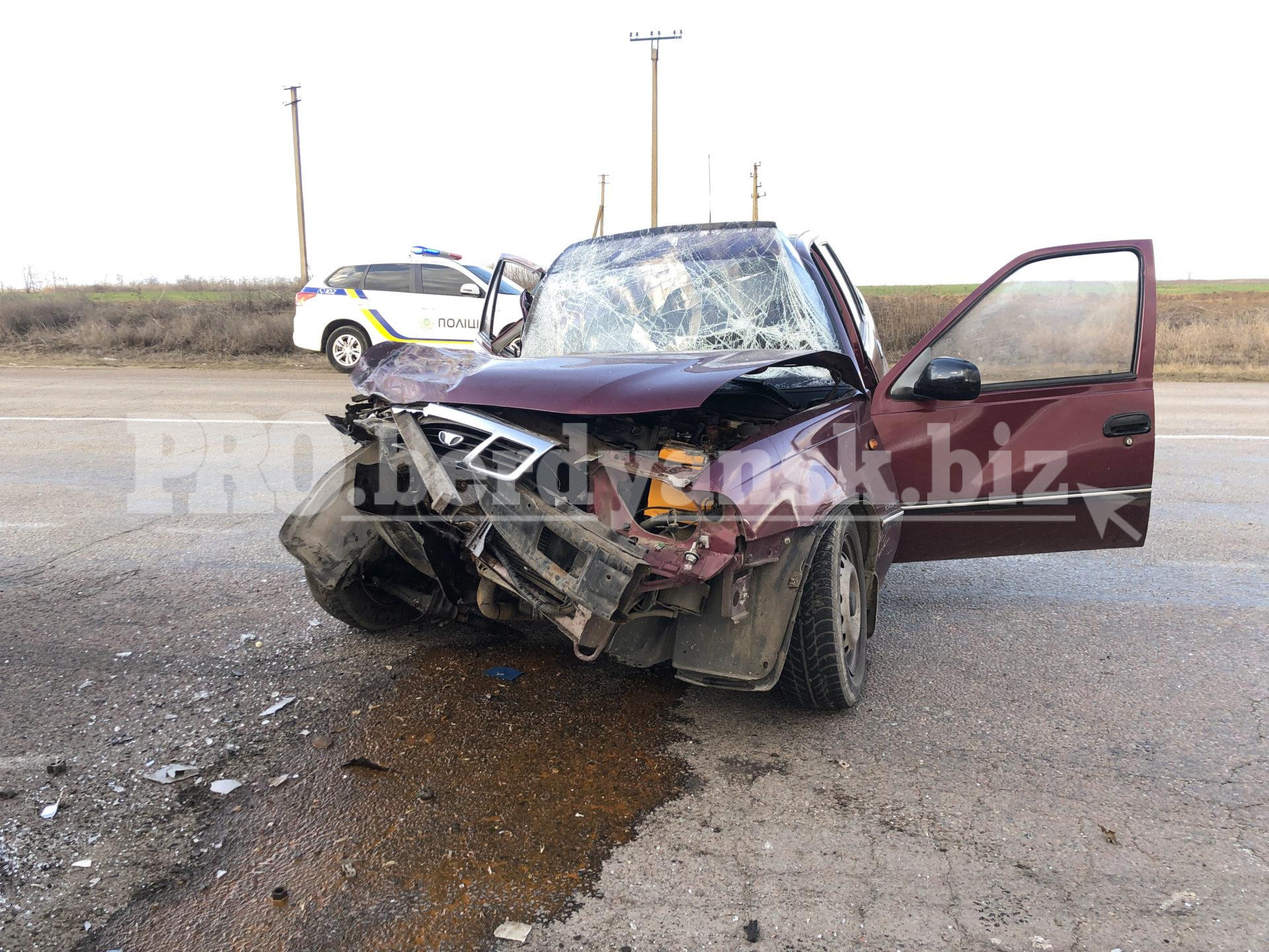 В Запорожской области грузовик "раздавил" легковой автомобиль: есть пострадавшие (ФОТО)