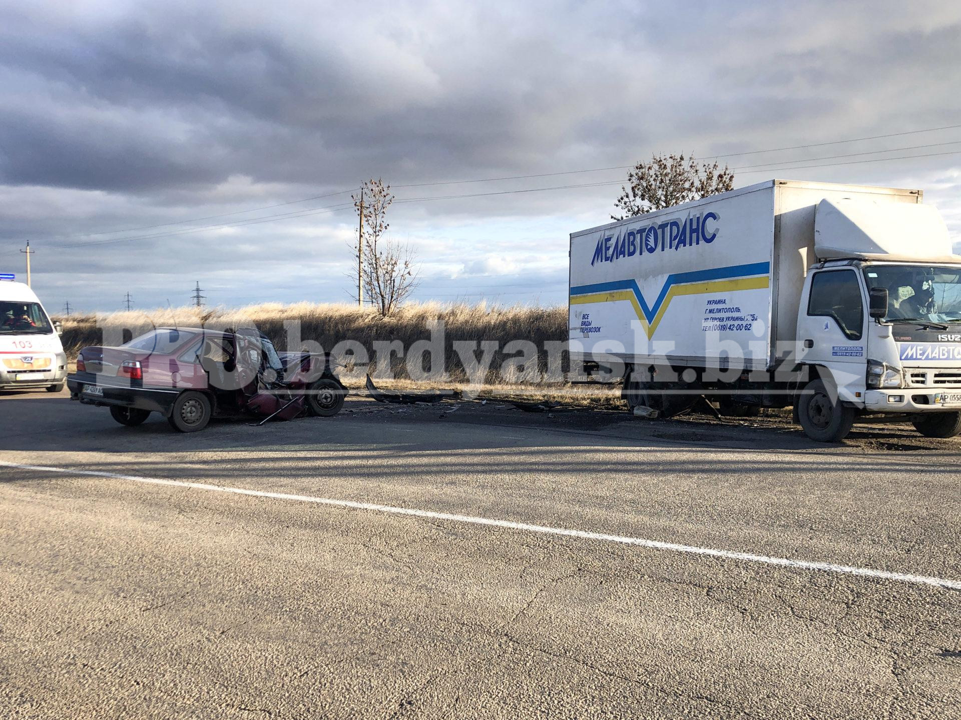 В Запорожской области грузовик "раздавил" легковой автомобиль: есть пострадавшие (ФОТО)