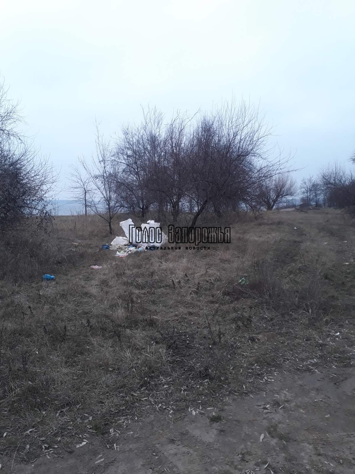 Неизвестные завалили мусором берег Днепра в Запорожье (ФОТО)