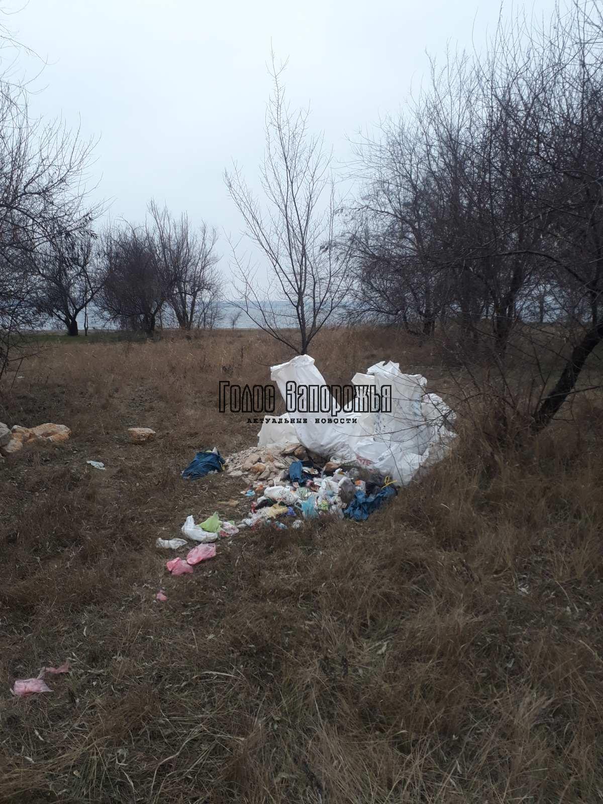 Неизвестные завалили мусором берег Днепра в Запорожье (ФОТО)