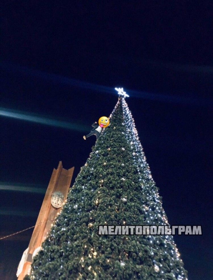 Живое украшение: в Запорожской области мужчина взобрался на городскую ёлку (ФОТО)