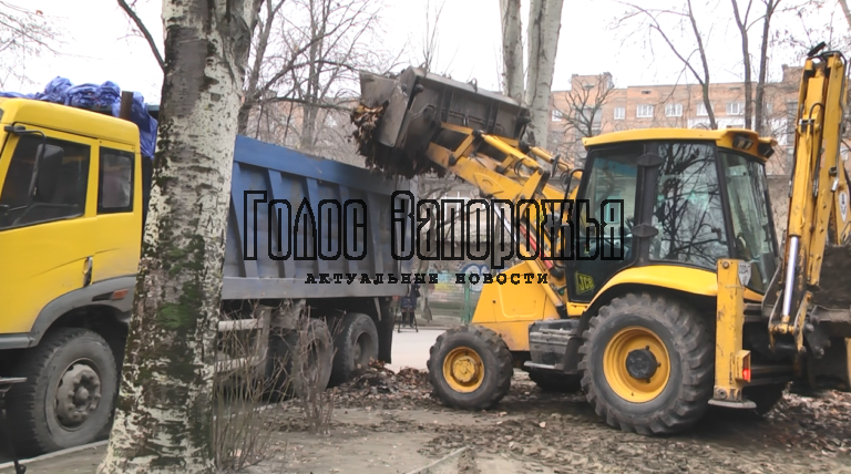 «Где логика?»: в Запорожье вывозят осеннюю листву зимой (ФОТО)
