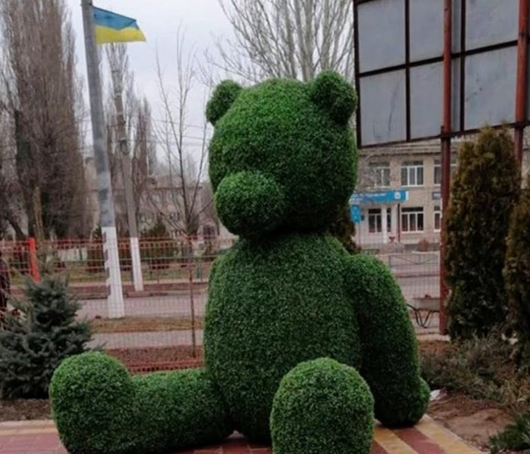 Зеленый медведь из Запорожской области не выдержал «фотоохоты» (ФОТО)