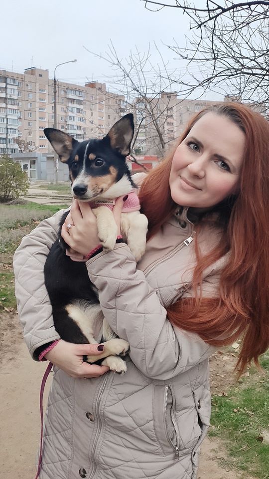 Курьёз: в Запорожье живёт собака-дизайнер (ФОТО)