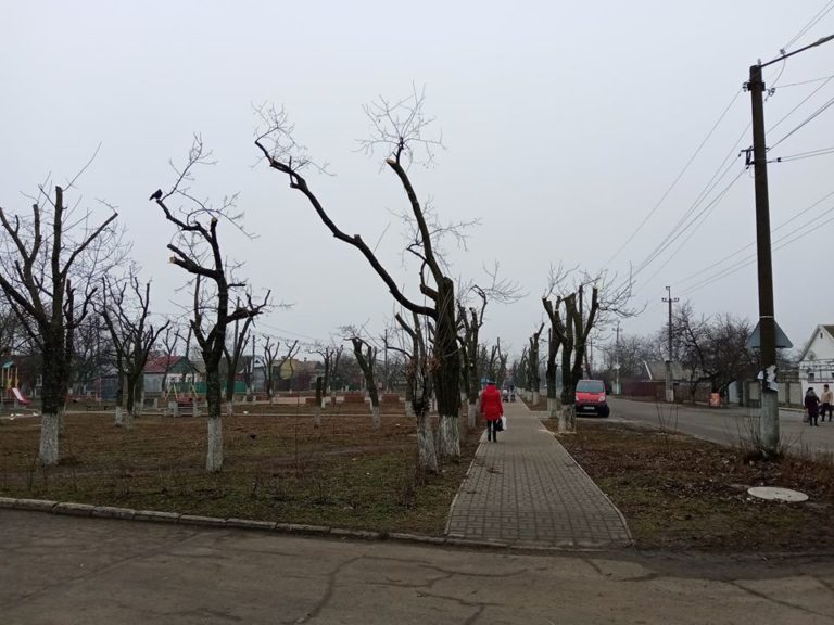 Школьный парк в Запорожской области превратили в кладбище (ФОТО)