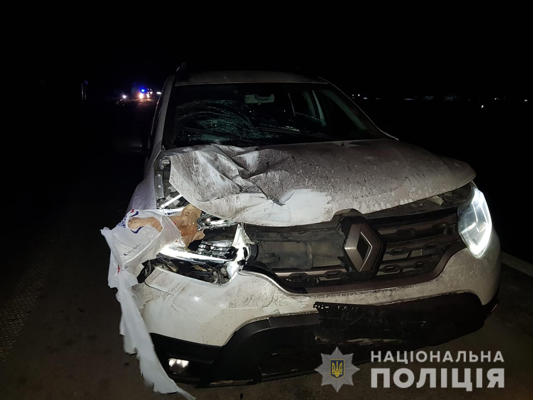 В Запорожской области под колёсами автомобиля погибла женщина (ФОТО)