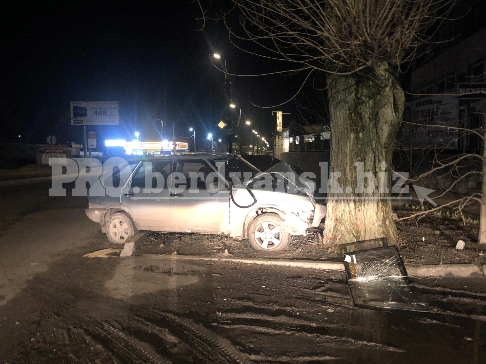 В Запорожской области автомобиль на полной скорости влетел в дерево (ФОТО)