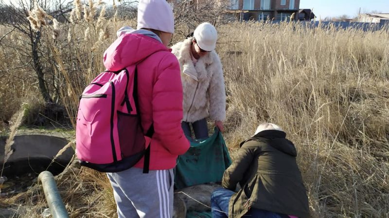 В Запорожской области нашли колодец с бездыханными животными (ФОТО)