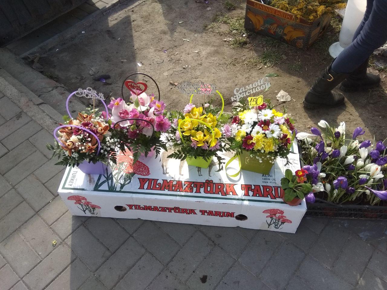 От тюльпанов до хризантем: сколько запорожцам придется потратить на праздничные букеты (ФОТО, ЦЕНЫ)