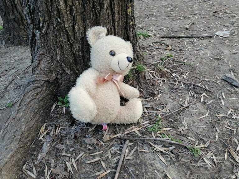 Запорожцев приглашают в «Дубовую рощу», дабы почтить память погибшей девочки (ФОТО)