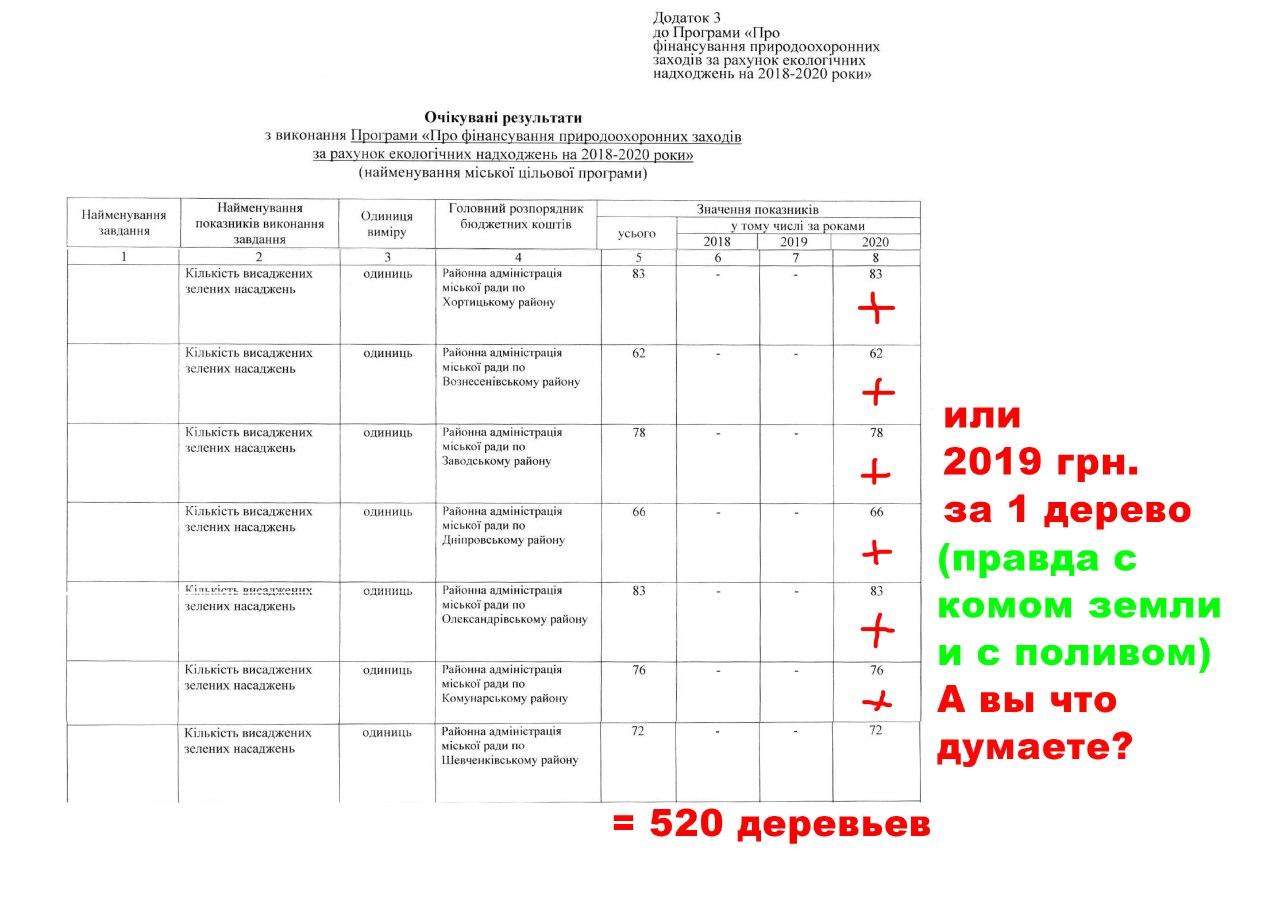 Деревья на миллион: запорожские чиновники явно переоценили стоимость обычных саженцев (ФОТО, ВИДЕО)