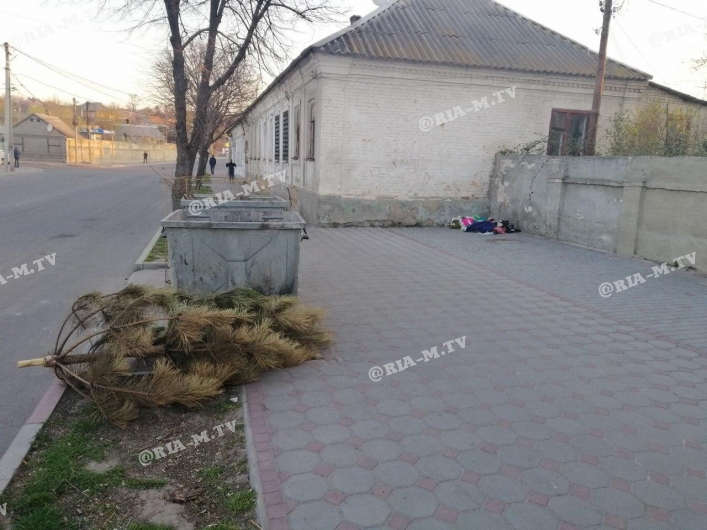 Еше один сдался: в Запорожской области выбросили ёлку лишь весной (ФОТО)