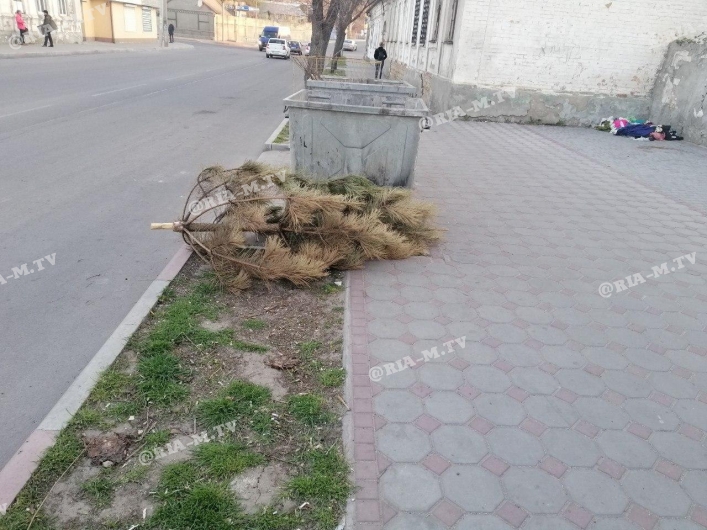 Еше один сдался: в Запорожской области выбросили ёлку лишь весной (ФОТО)