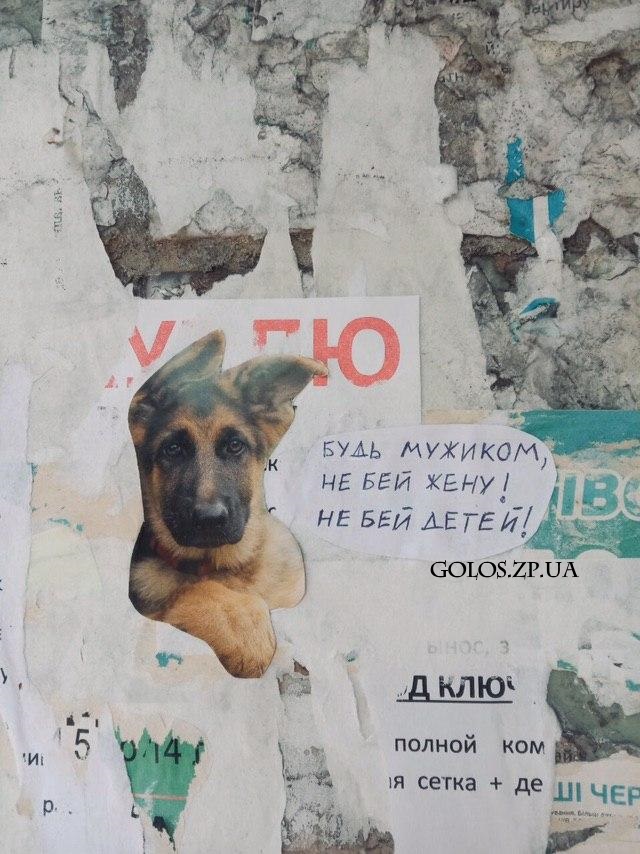На стенах запорожских многоэтажек появились мотивирующие послания (ФОТО)