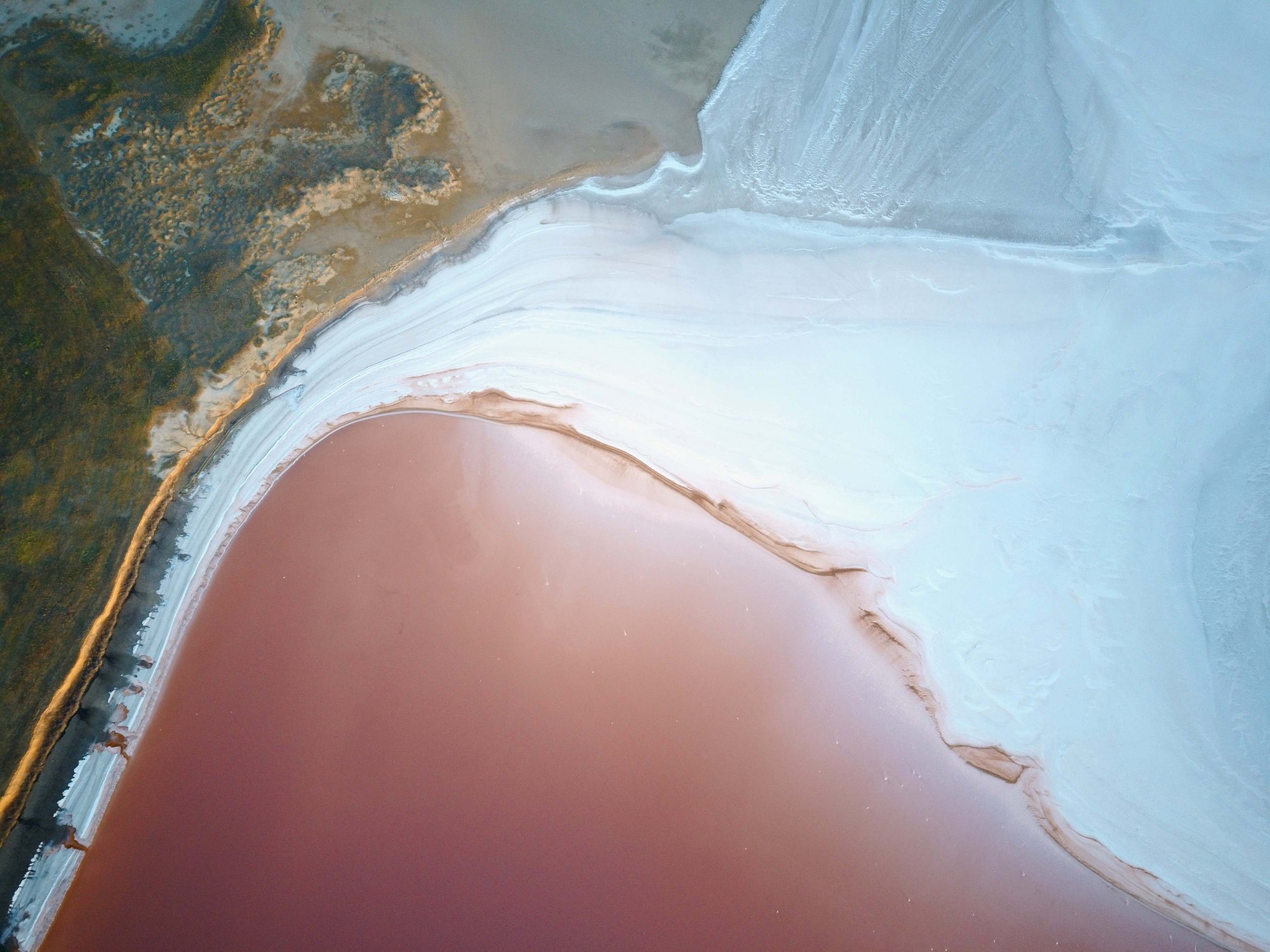 Запорожский фотограф показал чудеса Розового озера у Азовского моря (ФОТО)