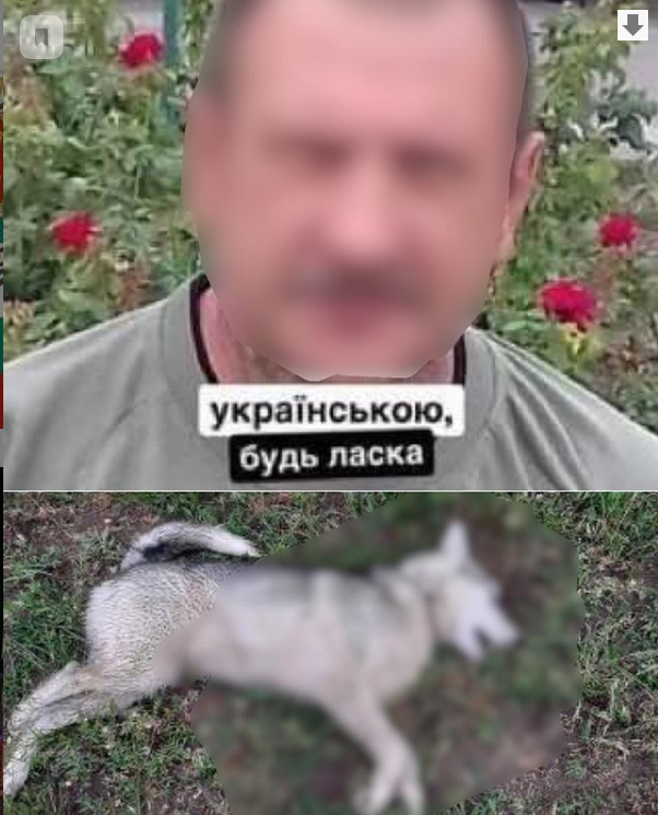 В Запорожской области мужчина застрелил собаку и угрожает расправой хозяевам (ФОТО)