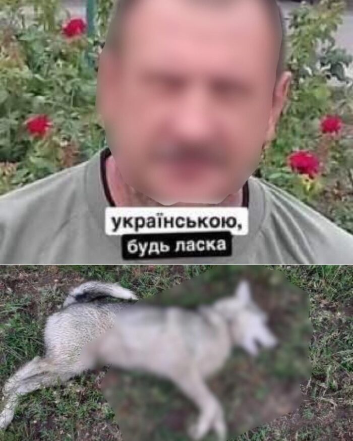 В Запорожской области мужчина застрелил щенка хаски: появились подробности (ФОТО)