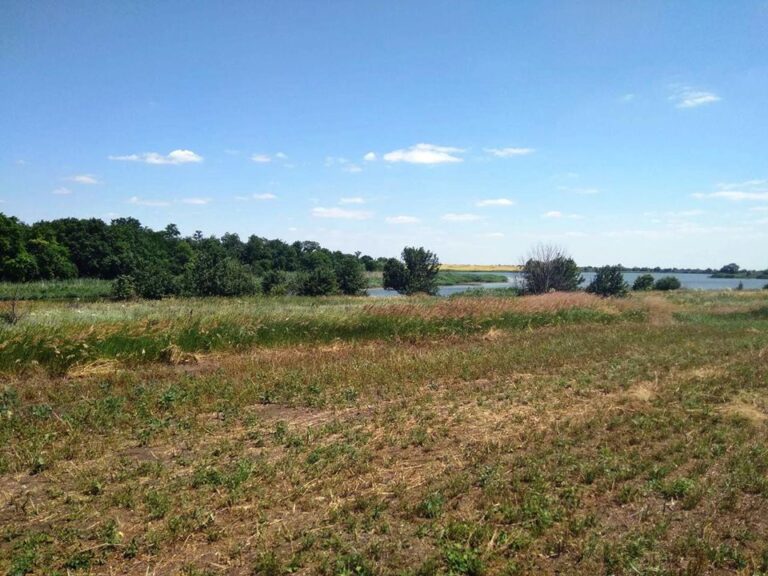 В Запорожской области произошла трагедия: подробности и ФОТО