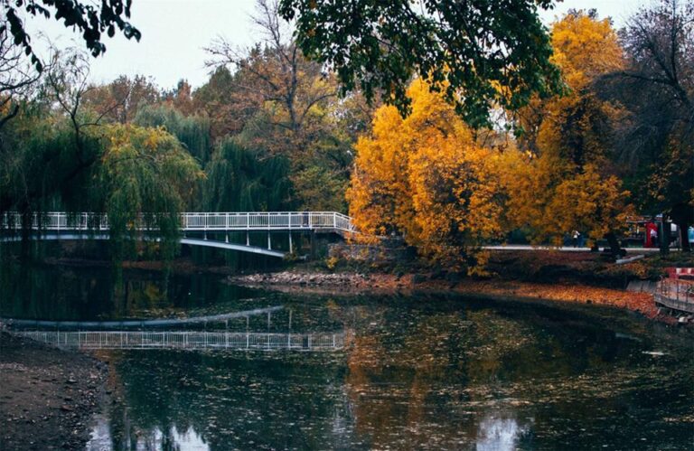 В запорожской «Дубовке» обнаружили очередную опасность (ФОТО)