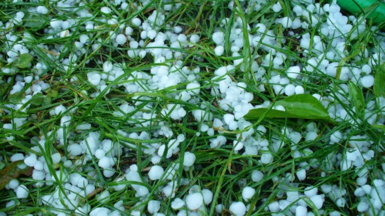 В Запорожской области выпал крупный град: осадки собирали ведрами (ВИДЕО)