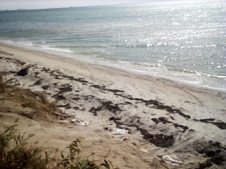 Побережье Азовского моря покрыла зеленая субстанция (ФОТО)