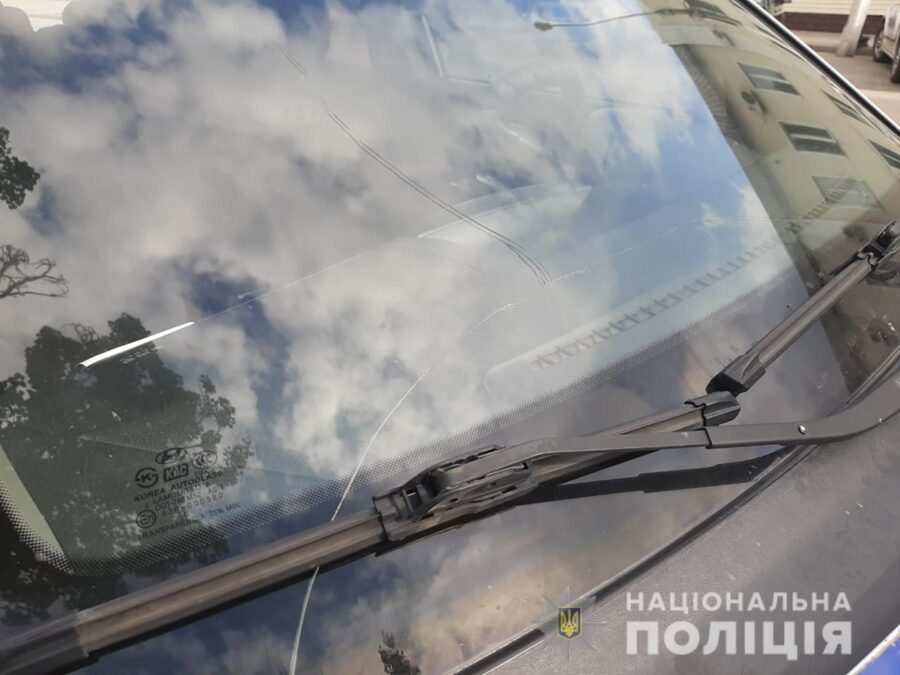 В Запорожской области пьяный дебошир крушил автомобиль полицейских: опубликовано ВИДЕО