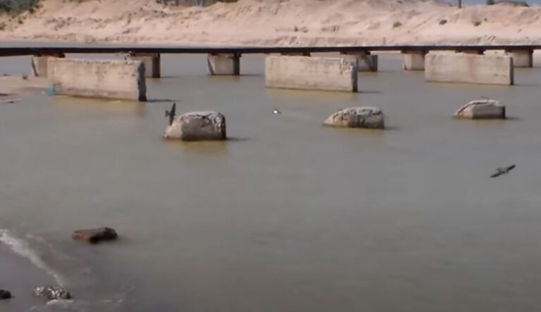 В Кирилловке лиман просто кишит рыбой: опубликовано ВИДЕО