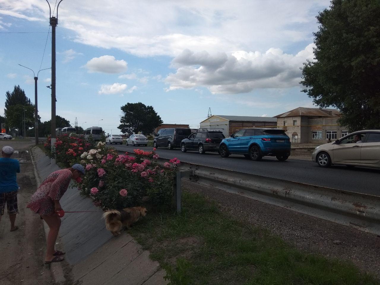 На трассе "Харьков-Симферополь" выстраиваются километровые очереди (ФОТО)