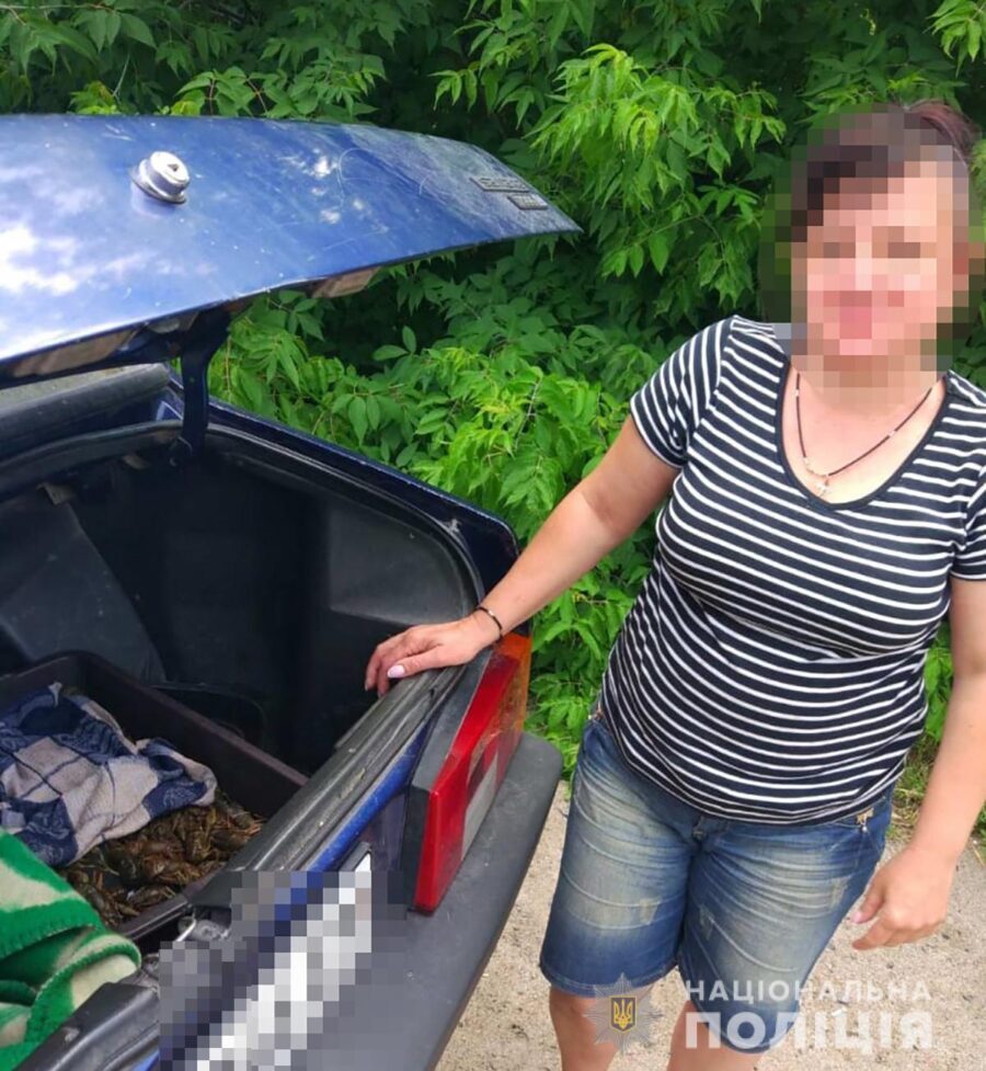 Незаконный пляжный бизнес: в Кирилловке у девушки изъяли гидроцикл (ФОТО)