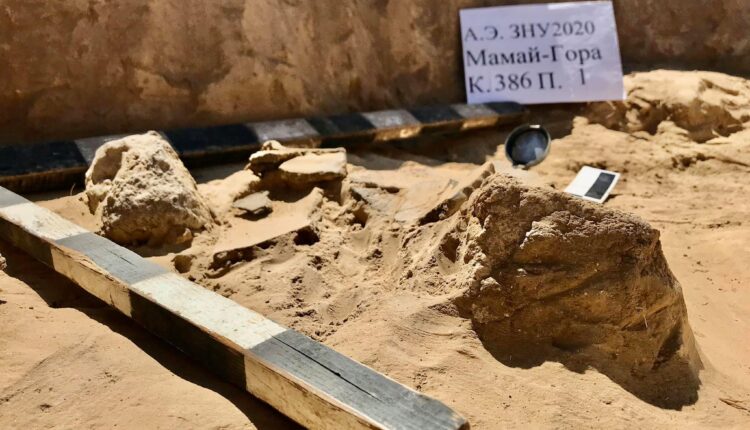 В Запорожской области во время раскопок обнаружили уникальные находки (ФОТО)