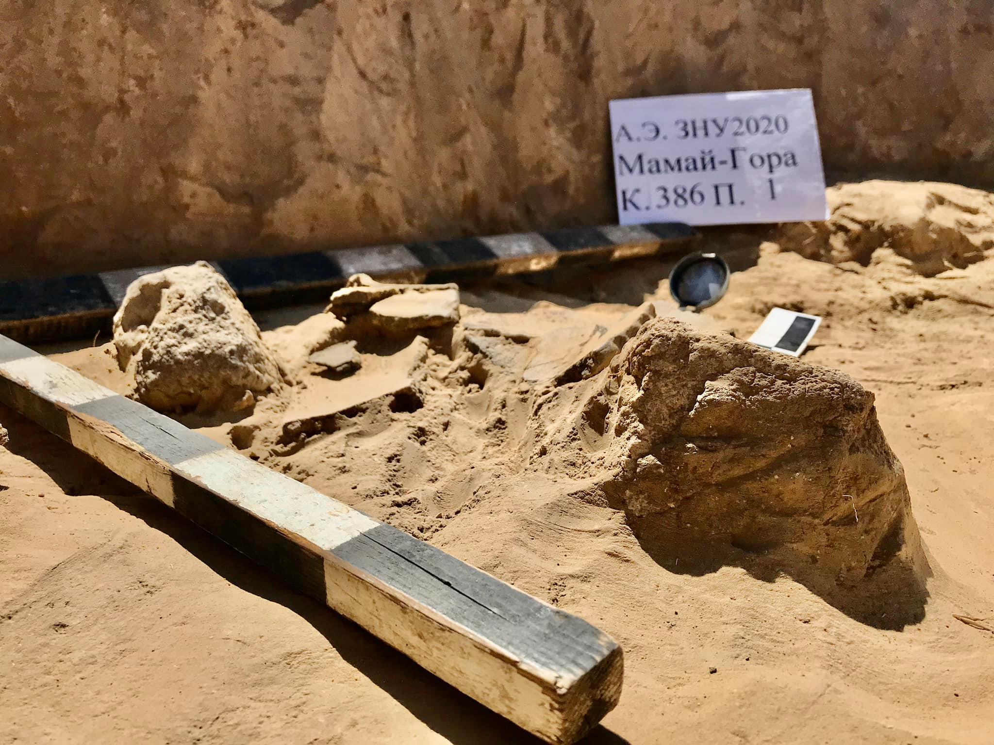 В Запорожской области во время раскопок обнаружили уникальные находки (ФОТО)