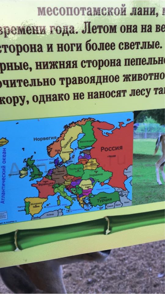"Крым - это Россия": в бердянском зоопарке произошел скандал из-за табличек (ФОТО)