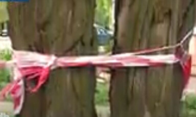 В центре Запорожья на одной из улиц горожан поджидает опасность (ВИДЕО)