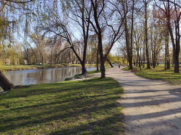 В запорожском парке к отдыхающим на пикник приползла змея (ФОТО)