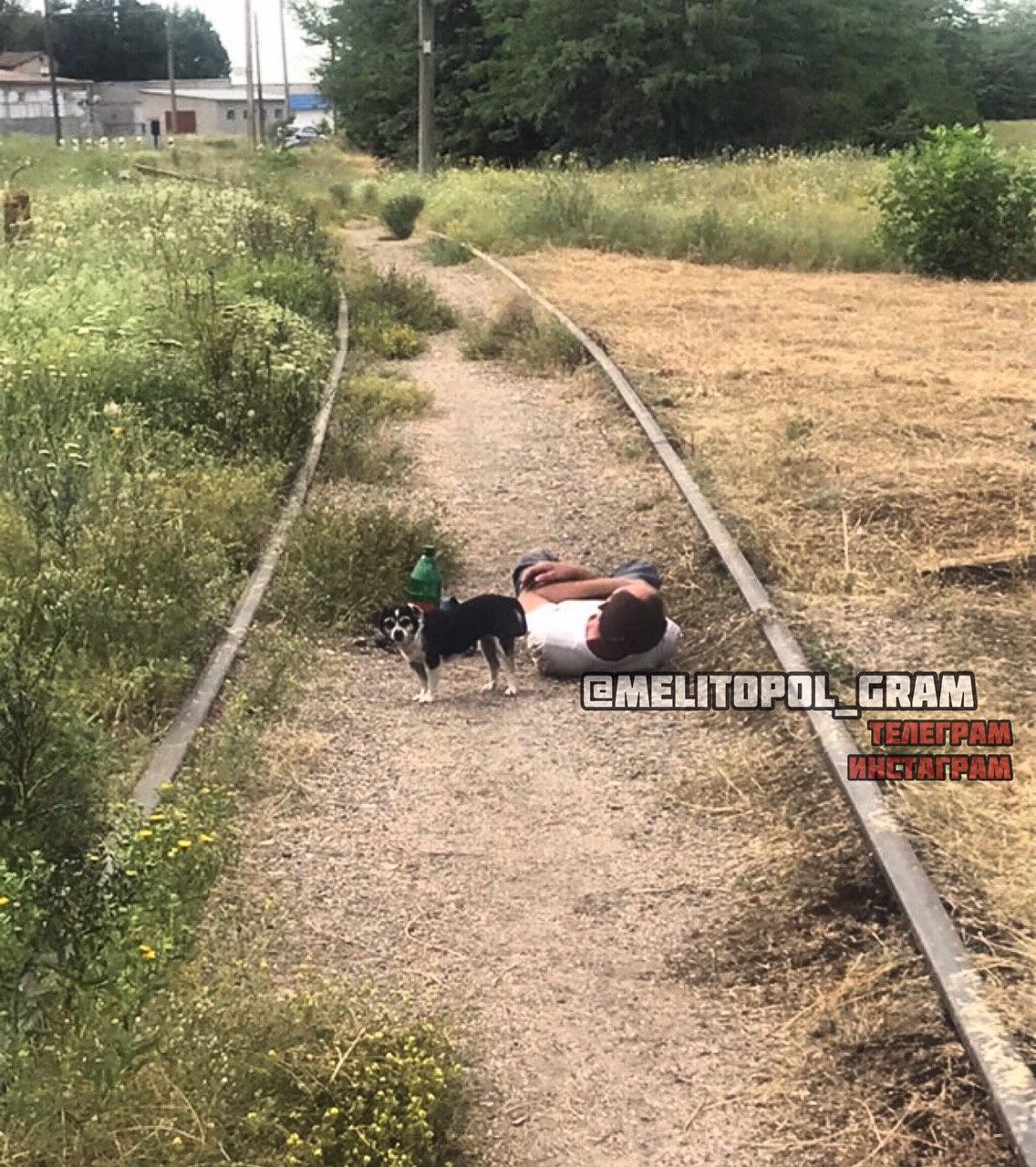 В Запорожской области мужчина с собакой уснул на железнодорожных рельсах (ФОТО)