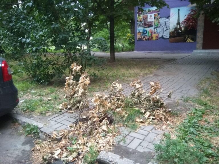 Халтурная работа: в Запорожье «закрывают» открытые канализационные люки хламом (ФОТО)