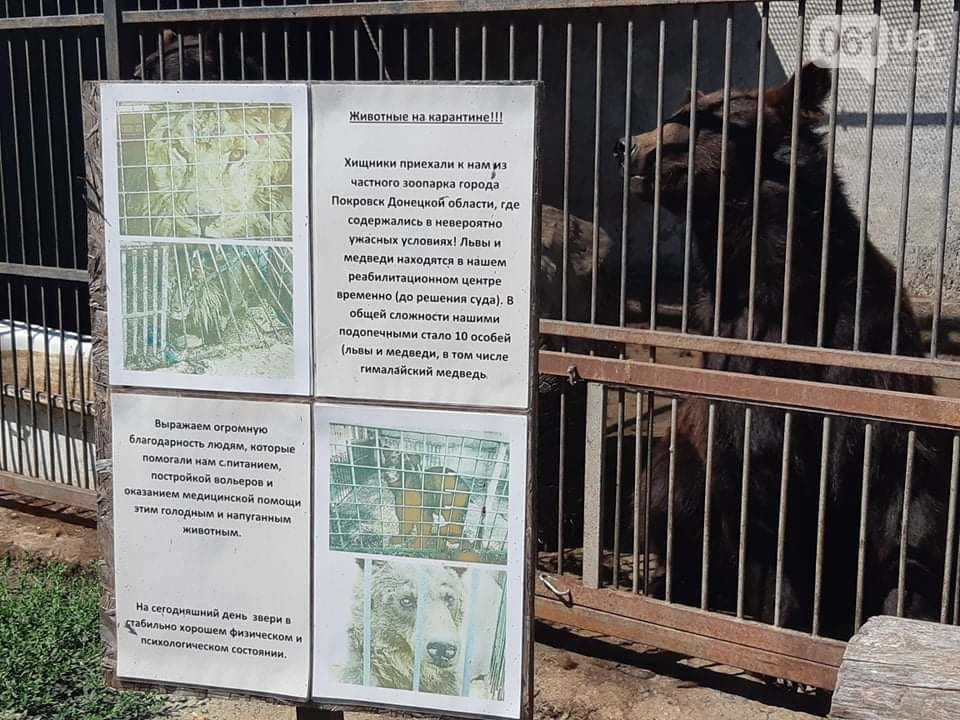 В Запорожской области ищут новый приют конфискованным зверям (ВИДЕО-ФОТО)
