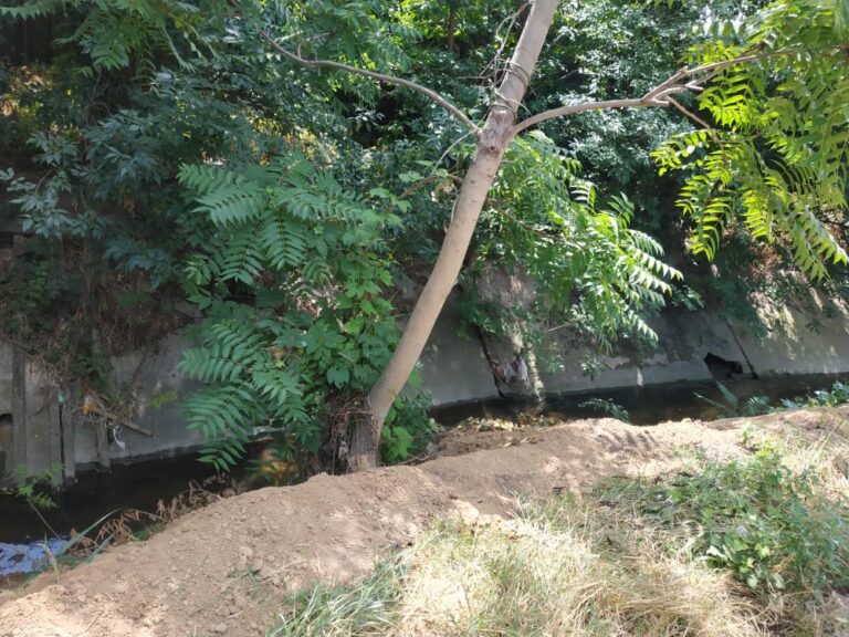 В Запорожье произошло экологическое ЧП на реке: появились подробности (ВИДЕО-ФОТО)