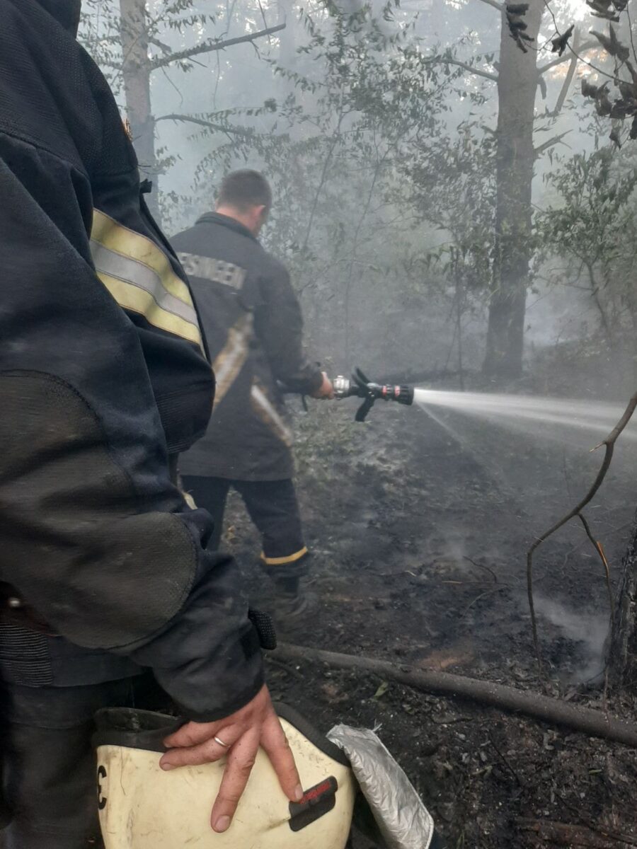 В Запорожье на Хортице случился серьезный пожар (ФОТО)