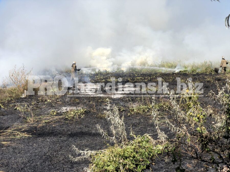 На запорожском курорте в природоохранной зоне произошел масштабный пожар (ФОТО)