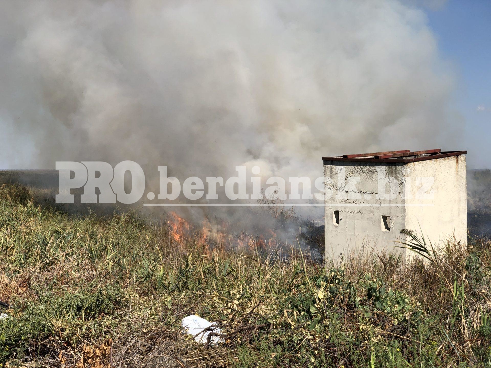 На запорожском курорте в природоохранной зоне произошел масштабный пожар (ФОТО)