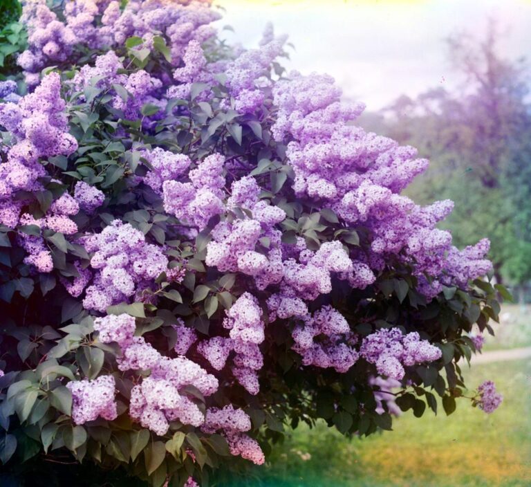 В Запорожской области зафиксировали природную аномалию (ФОТОФАКТ)