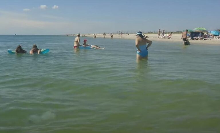 На запорожском курорте отдыхающие ходят на пляж с сачками для медуз (ВИДЕО)