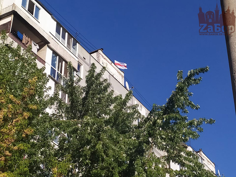 В центре Запорожья вывесили флаг Беларуси (ФОТОФАКТ)